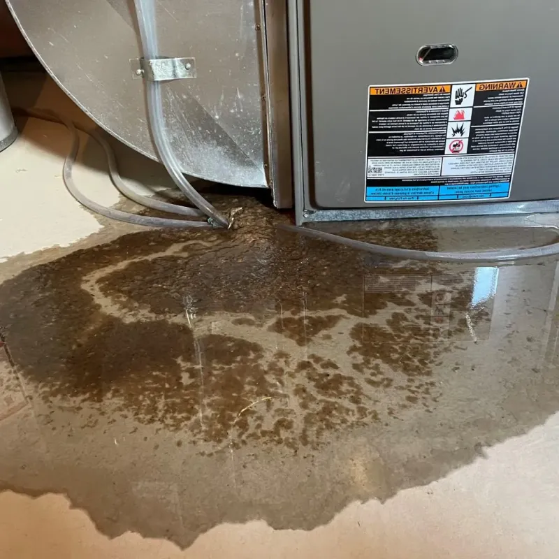 Pipe Burst and Leak Restoration in Perryton, TX