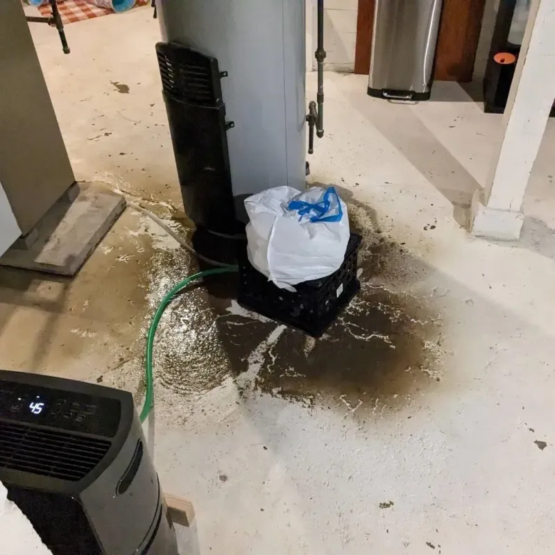 Sewage Backup Cleanup Service in Perryton, TX